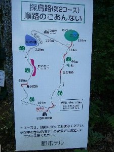 地図ヒロコ.JPG